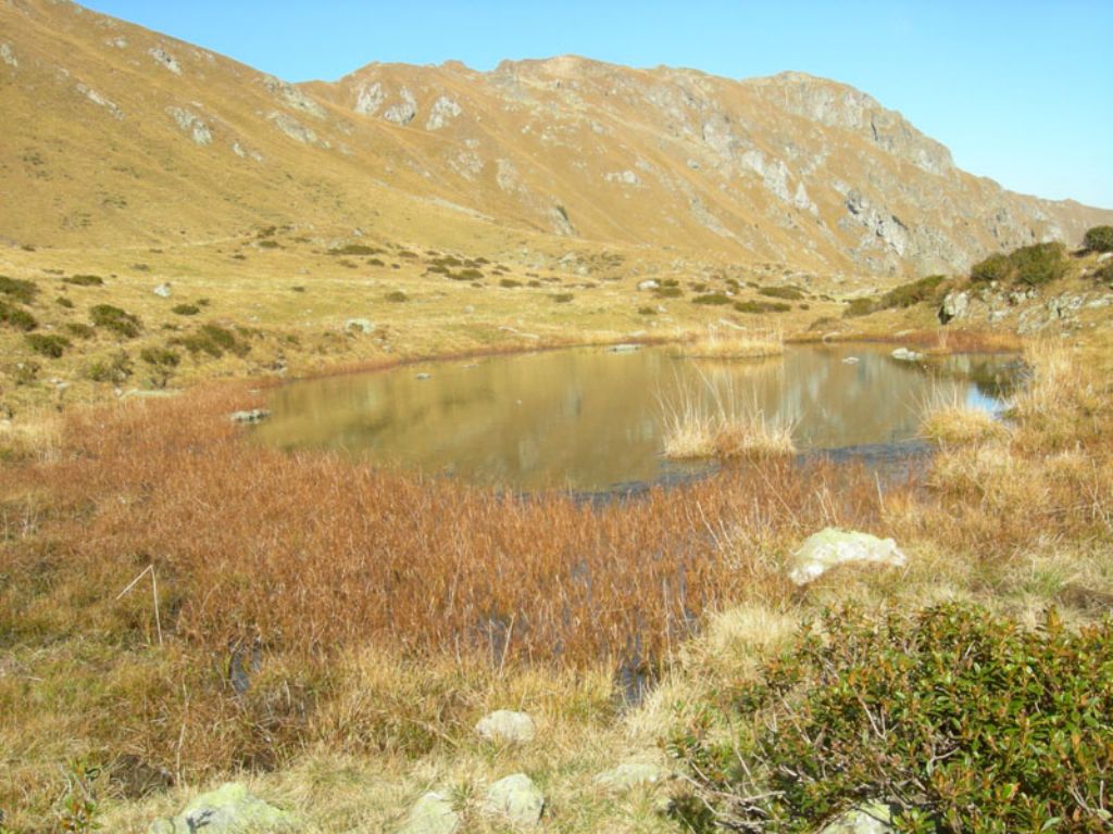 Laghi.......del TRENTINO